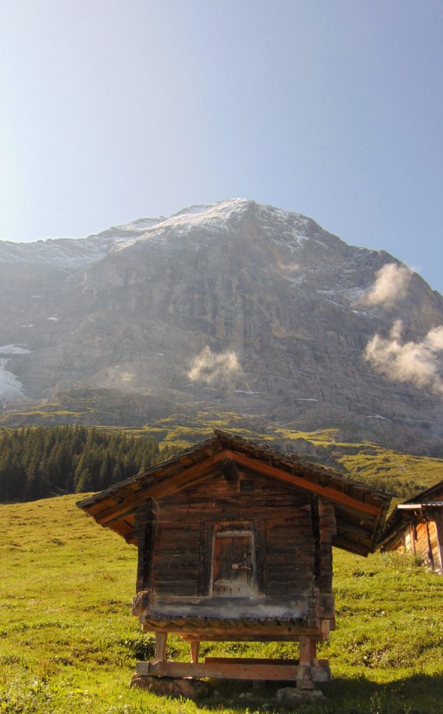 Manchmal ist alles zu Viel, oder zu Wenig- Stess, Burn-out Manchmal ist alles zu Viel, oder zu Wenig- Stess, Burn-out