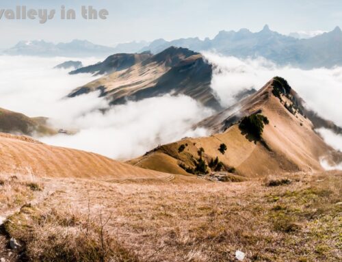 How to cushion the valleys in the hike of life?